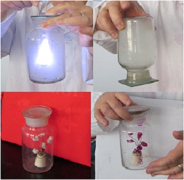 趣味性化学小实验在初中化学教学中的应用
