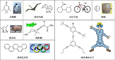 象形分子在有机化学及有机合成化学教学中的应用