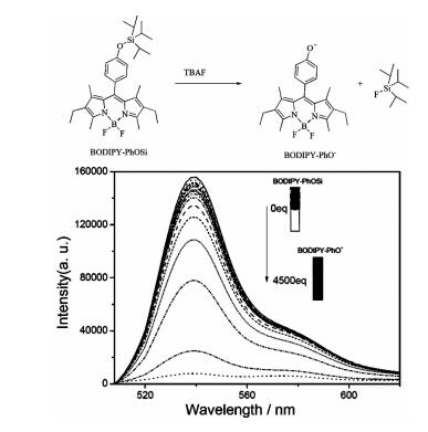 基于BODIPY衍生物的氟离子荧光比例探针的研究