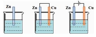 利用数字化手持技术探究“电解池阳极与原电池负极金属腐蚀速率”的大小