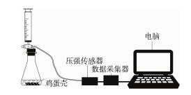 用数字化实验探究含氟牙膏背后的化学原理