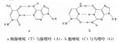 启发式教学法在医用基础化学“氢键”教学中的应用