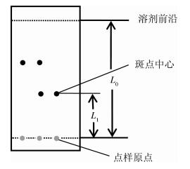 薄层色谱分离混合染料的实验改进