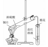 中学化学实验中的科学风险认知和决策意识