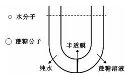 SCL教学法在中职卫校化学课程中的探索与实践