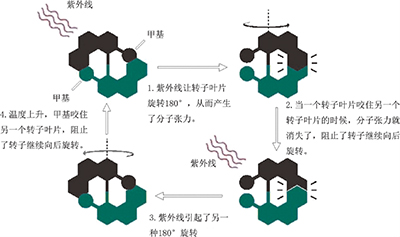 分子机器的设计与合成——2016年诺贝尔化学奖解读