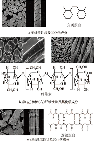 纺织纤维发展历程概观