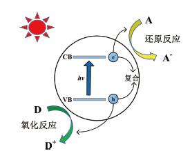 石墨相氮化碳的模板法制备、表征及光催化性能测试综合化学实验