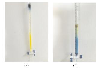 吸附剂对柱色谱法分离荧光黄和碱性湖蓝BB效果的影响