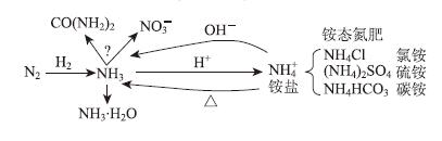 基于“元素观”的教学设计——以“氮肥的生产和使用”为例