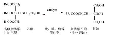 “餐饮废油转化生物柴油的小型化装置设计”研究性学习案例