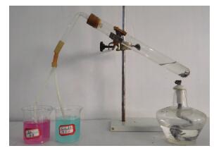 浓硫酸与锌反应产生氢气的验证及原因探究