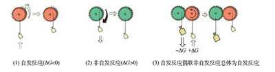 高职高专医学生物化学物质代谢教学探讨