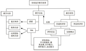 基于TBL教学法和GRAPA评价体系的有机化学教学改革