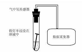 手持技术探究铁钉在不同溶液中的吸氧腐蚀速率