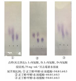 纸色谱法实现对丙氨酸快速手性分离的研究