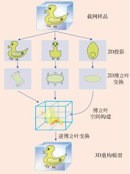 冷冻电镜技术——2017年诺贝尔化学奖介绍