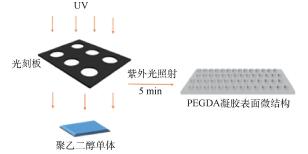 简单方法制备与表征新颖复合凝胶及表面微结构——由科研成果转化的化学综合实验