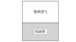 纯物质挥发能力评估的热力学分析