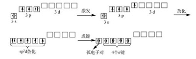 孤对电子与赤道取向——sp<sup>3</sup>d杂化轨道中电子对排列的一种有趣现象