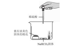 基于风险认知和决策能力培养的元素化合物教学——以“钠的性质”为例