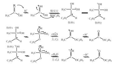 从反应机理探究酯化反应教学疑问