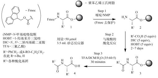 制药专业药物合成实践课程项目化教学探索