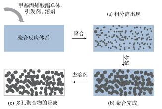 功能聚合物表面的制备及其化学修饰