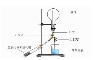 氨气喷泉实验的一体化设计