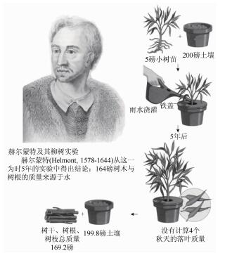 基于“历史复演法”的化学教学设计研究——以“质量守恒定律”为例