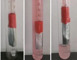 温度对氯离子效应影响的实验探究