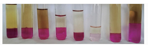 灰化法海带提碘实验中碘元素流失原因探析