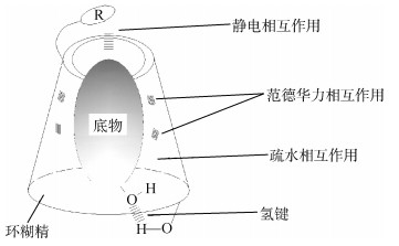 配位化学中的专业名词解析