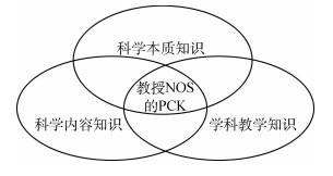 将教师的科学本质观转化到课堂实践——国际文献综述