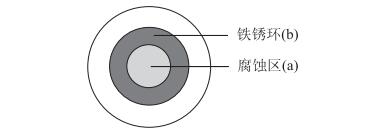 “钢铁电化学腐蚀原理的再认识”项目式教学