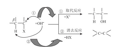 选准代表物质开辟探究路径培育核心素养——“卤代烃”的创新教学