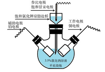 铜的腐蚀电化学行为及应用综合实验设计