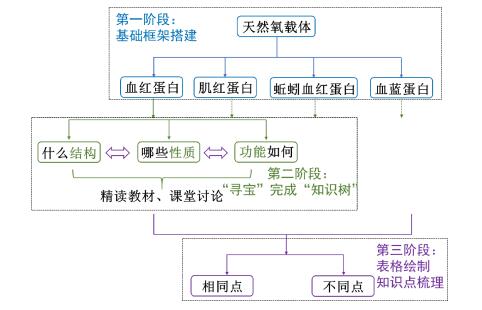 模块化生物无机化学教学模式的构建与实践