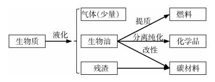 生物质的液化转化及其产物的分离分析实验设计