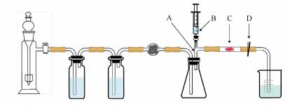 基于绿色化学的基础化学实验改进——以“二氧化碳相对分子质量的测定”为例