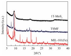 仪器分析综合实验：MoS<sub>2</sub>/MIL-101(Fe)的制备、表征及其光催化降解布洛芬的研究