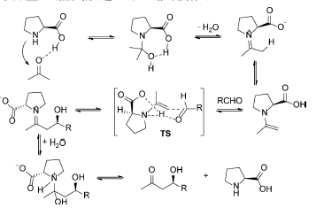 有机化学创新设计性实验<sup>*</sup>——氨基酸催化的不对称Aldol反应