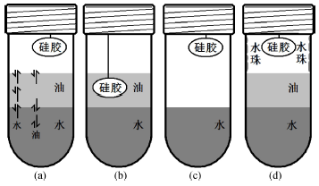 完全不互溶双液系的蒸气压<sup>*</sup>