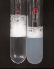 用肥皂水区分软水和硬水的实验探究