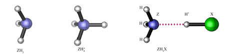 ZH<sub>3</sub>,ZH<sup>+</sup><sub>4</sub>及ZH<sub>4</sub>X(Z=N,P,As,Sb,Bi,X=F,Cl,Br,I)的结构与电子性质