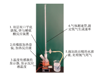 精确测定温度对反应速率影响的演示装置<sup>*</sup>