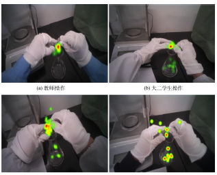 眼动仪视角下的化学实验基本操作中师生关注点初探