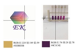 RGB解析法探究化学反应速率的影响因素<sup>*</sup>