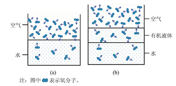 利用数字化实验研究“油封”对水中溶解氧的影响