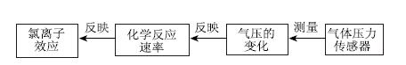 应用手持技术实验探究氯离子浓度对氯离子效应的影响<sup>*</sup>——以镁与盐酸的反应为例